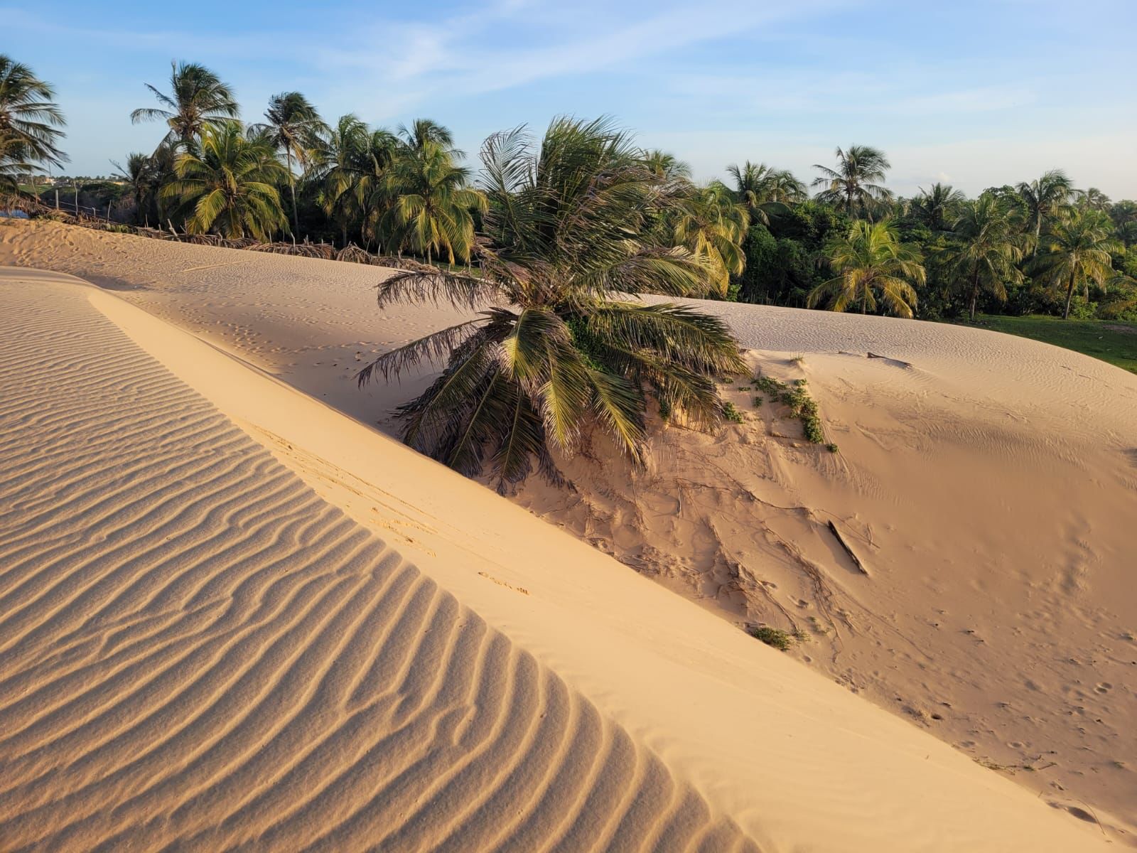 Explorando as Deslumbrantes Dunas de Malembá: Um Guia Completo